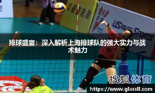 排球盛宴：深入解析上海排球队的强大实力与战术魅力